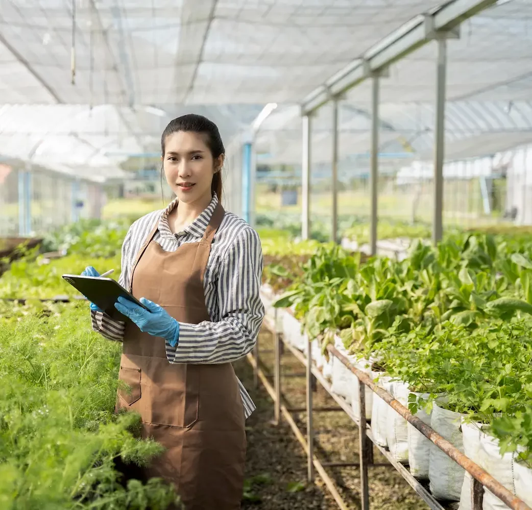 Faq Produtores Rurais - Avanty Solucoes Contábeis